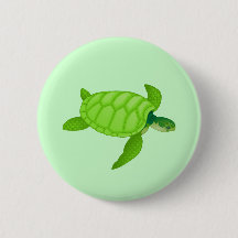 Sea Turtle