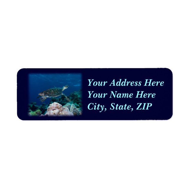 Sea Turtle Address Label (Front)