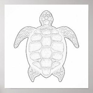 Sea Turtle Adult Colouring Poster