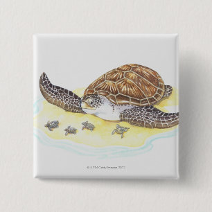 Sea Turtle and Babies 15 Cm Square Badge