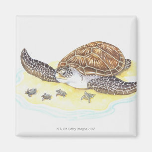 Sea Turtle and Babies Magnet