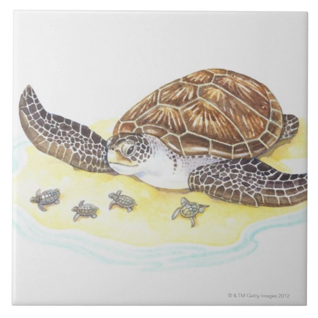 Sea Turtle and Babies Tile (Front)