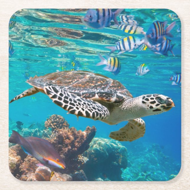 Sea Turtle and Fish Square Paper Coaster (Front)