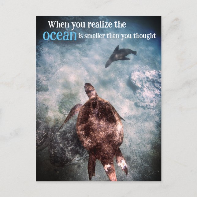 Sea turtle and sea lion underwater holiday postcard (Front)