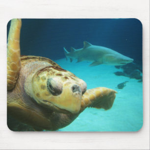 Sea Turtle and Shark Mousepad