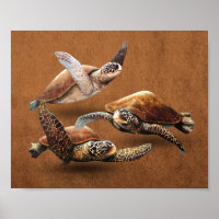 Sea Turtle Animals Extinction Save The Turtles