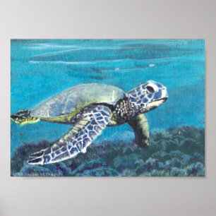 Sea Turtle Art Print