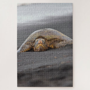 Sea Turtle Black Sand Beach Hawaii -20x30- 1014 pc Jigsaw Puzzle