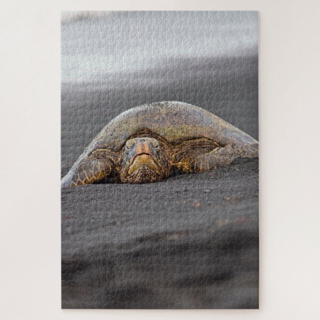 Sea Turtle Black Sand Beach Hawaii -20x30- 1014 pc Jigsaw Puzzle (Vertical)