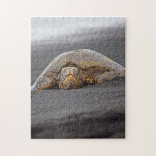 Sea Turtle - Black Sand Beach - Hawaii Puzzle