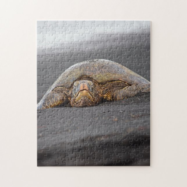 Sea Turtle - Black Sand Beach - Hawaii Puzzle (Vertical)