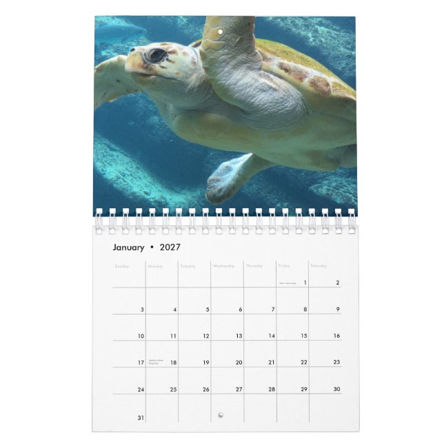 Sea turtle calendar (Jan 2027)