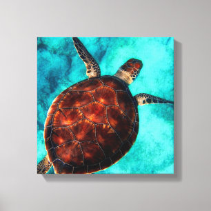 Sea Turtle Canvas Print