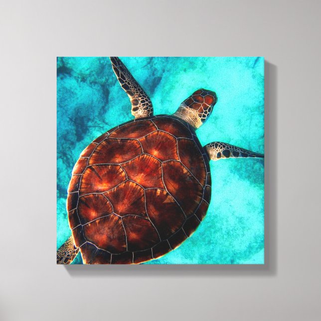 Sea Turtle   Canvas Print (Front)