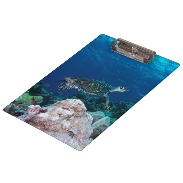 Sea Turtle Clipboard (Angled)