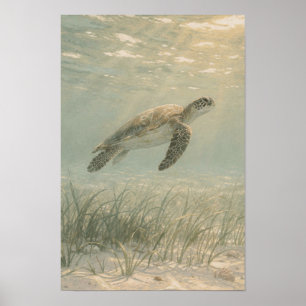 Sea Turtle Coastal and Ocean Art Print
