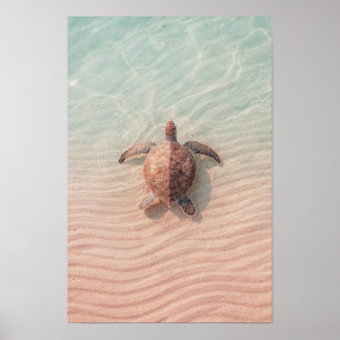 Sea Turtle Coastal and Ocean Art Print