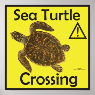 Sea Turtle Crossing Caution Poster