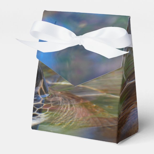 Sea Turtle Favour Box (Front Side)