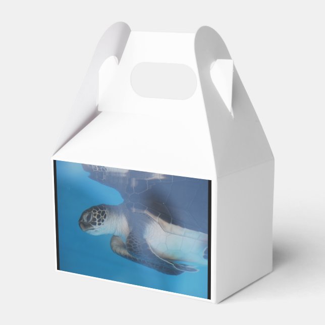 Sea Turtle Favour Box (Front Side)