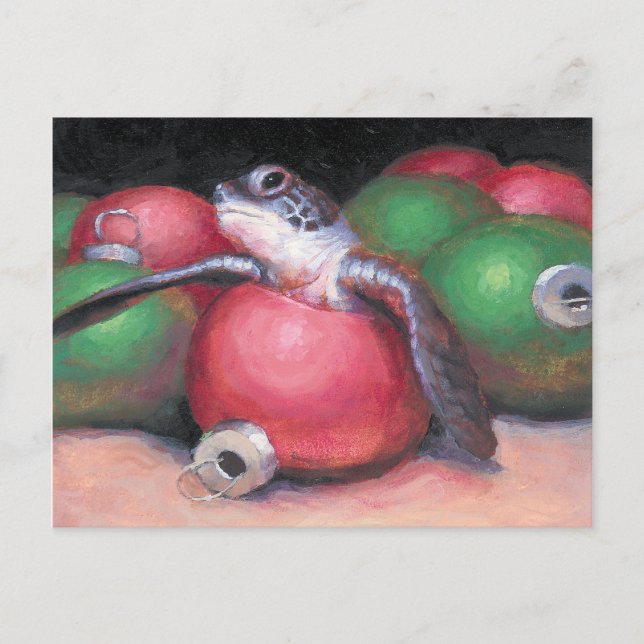 Sea Turtle Florida Christmas postcard (Front)