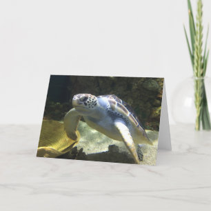 sea turtle greeting card (blank inside)