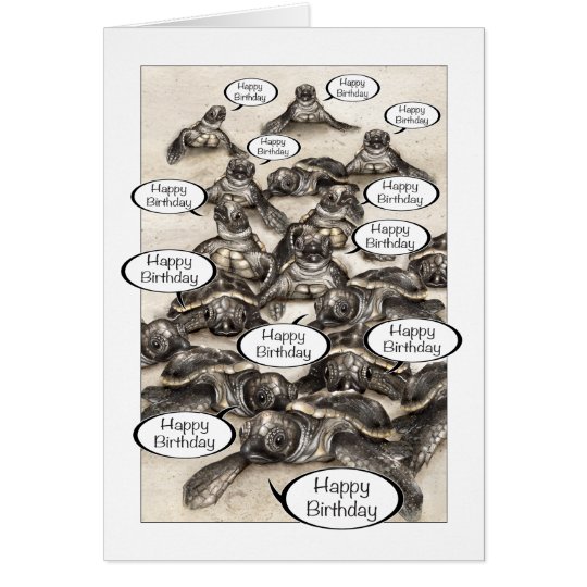 Sea Turtle Hatchling Birthday Greeting Card