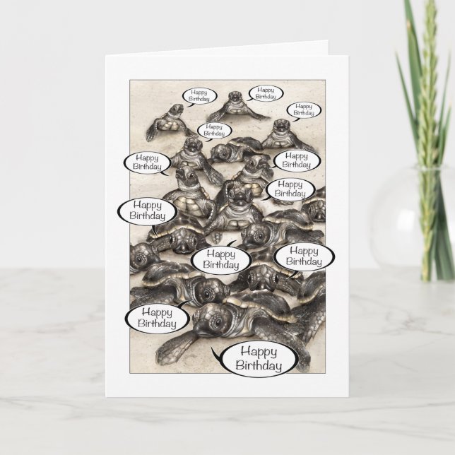 Sea Turtle Hatchlings From All of Us Birthday Card (Front)