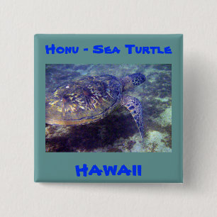 Sea Turtle Hawaii button