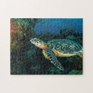 Sea Turtle in the Blue Ocean and Marine Life Jigsaw Puzzle