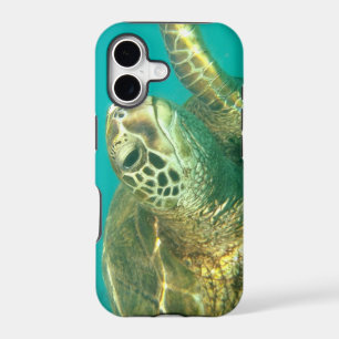 Sea Turtle iPhone case