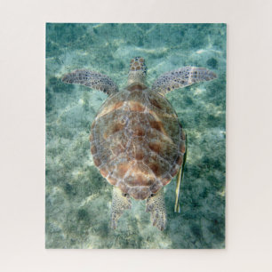 Sea Turtle Jigsaw Puzzle