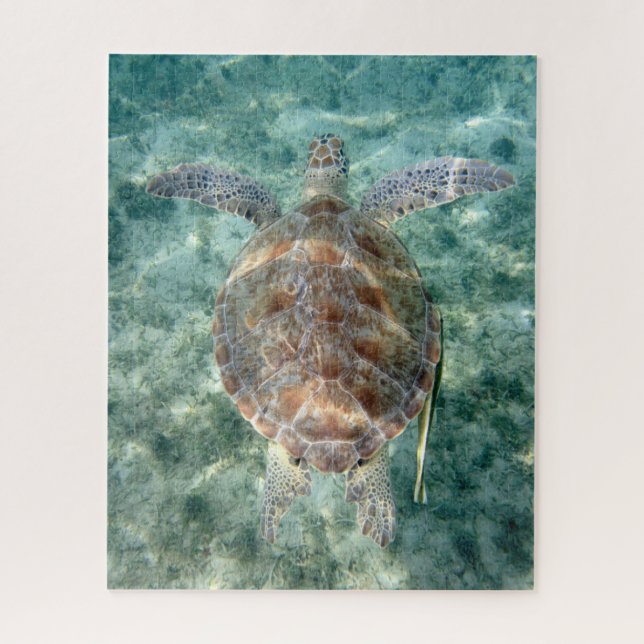 Sea Turtle Jigsaw Puzzle (Vertical)