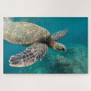 Sea Turtle Jigsaw Puzzle