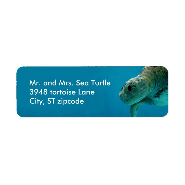 sea turtle label (Front)