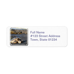 Sea Turtle Mailing Label