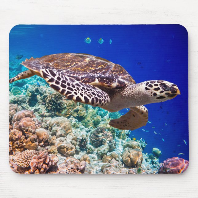 Sea Turtle Mouse Mat (Front)