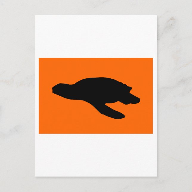 Sea Turtle Nesting Flag Postcard (Front)