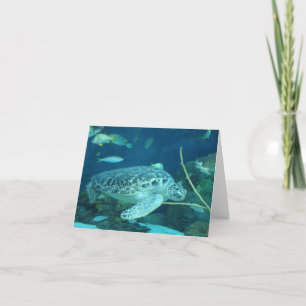 sea turtle note card
