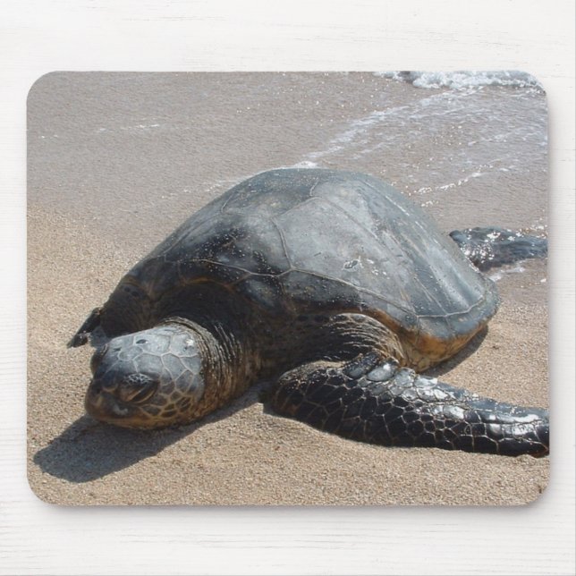 Sea Turtle - Oahu Hawaii Mouse Mat (Front)