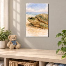 Sea Turtle Ocean Beach