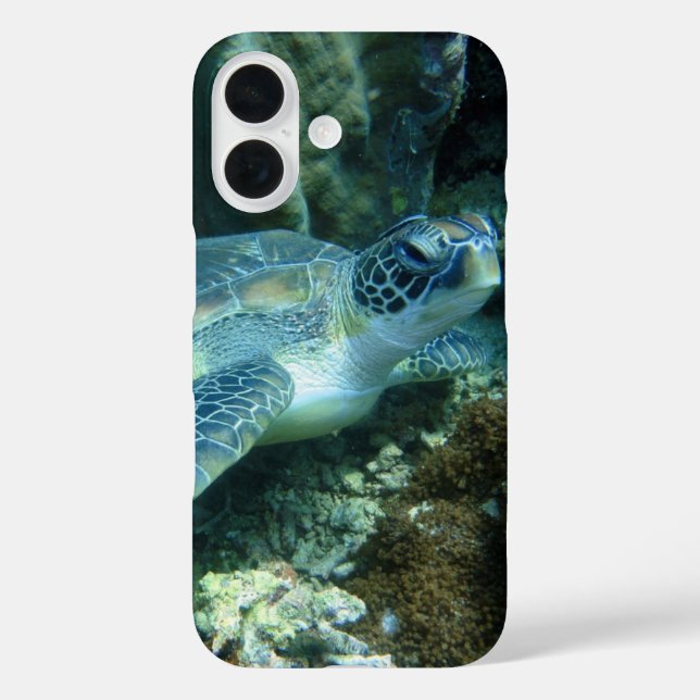 Sea Turtle on Seabed Photo Case-Mate iPhone Case (Back)