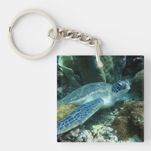 Sea Turtle on Seabed Photo Key Ring (Front)
