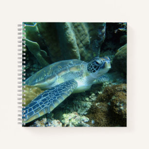 Sea Turtle on Seabed Photo Notebook