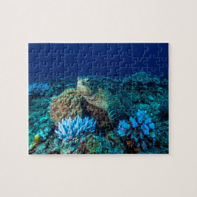 Sea Turtle on the Great Barrier Reef Jigsaw Puzzle (Horizontal)