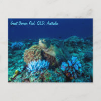 Sea Turtle on the Great Barrier Reef