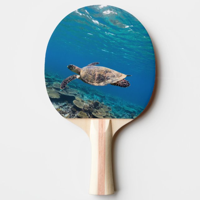 Sea turtle ping pong paddle (Back)