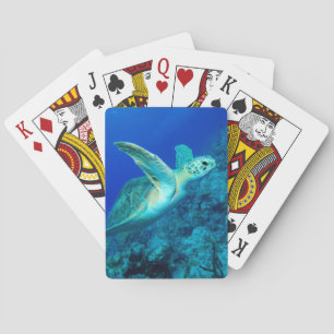 Sea Turtle Playing Cards