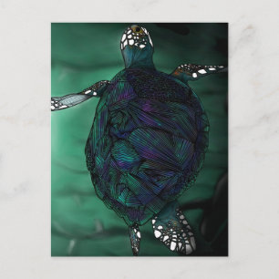 Sea Turtle Postcard