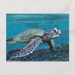 Sea Turtle Postcard
